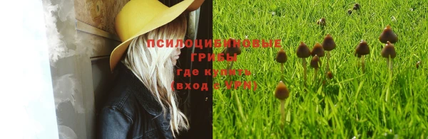 mdma Медногорск