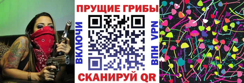 Купить  Пушкино  Псилоцибиновые грибы Magic Shrooms 